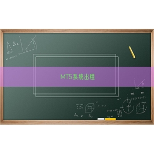 MT5系统出租