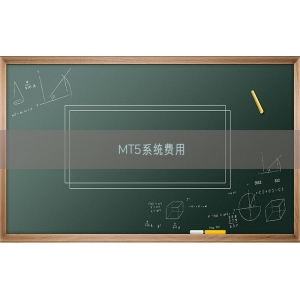 MT5系统费用