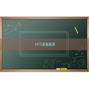 MT5系统租用