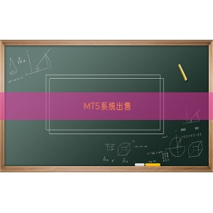 MT5系统出售
