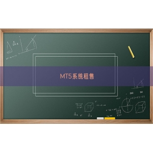 MT5系统租售