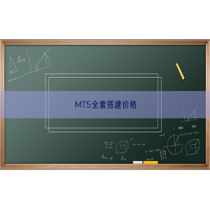 MT5全套搭建价格