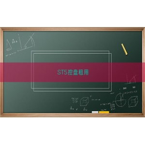 ST5控盘租用