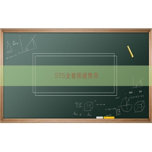 ST5全套搭建费用