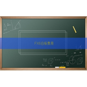 FX6白标费用
