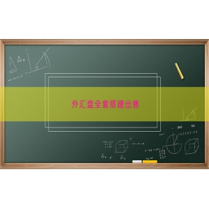 外汇盘全套搭建出售