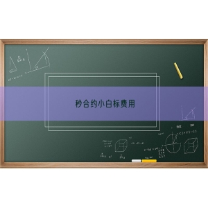 秒合约小白标费用