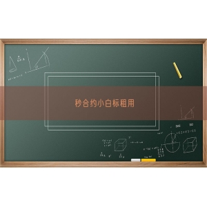 秒合约小白标租用