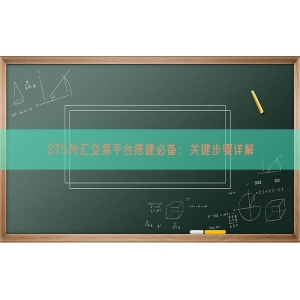 ST5外汇交易平台搭建必备：关键步骤详解