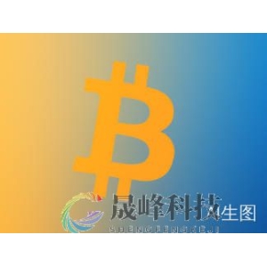 “贬值交易”火爆！比特币将历史新高刷新至12.5万美元以上-市场参考-晟峰科技数