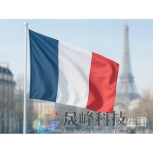 法国进一步陷入政治危机，马克龙下一步是“自救”还是“自毁”？-市场参考-晟峰科技