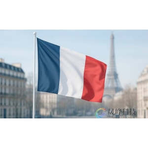 马克龙众叛亲离，法国政坛盟友反水，前总理们“补刀”-市场参考-晟峰科技数据