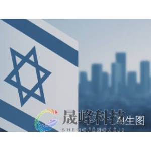 谁说了算？美国高级官员车轮战式访以，强势推进加沙和平计划-市场参考-晟峰科技数据