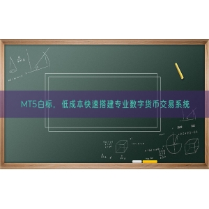 MT5白标，低成本快速搭建专业数字货币交易系统