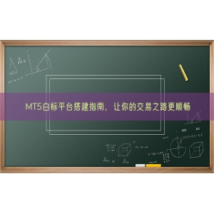 MT5白标平台搭建指南，让你的交易之路更顺畅