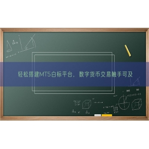 轻松搭建MT5白标平台，数字货币交易触手可及