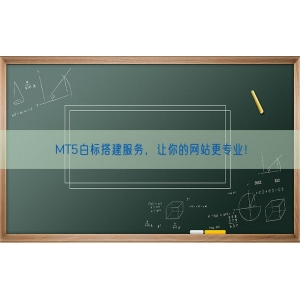 MT5白标搭建服务，让你的网站更专业！