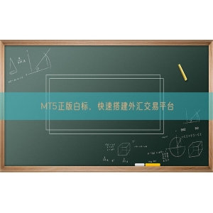 MT5正版白标，快速搭建外汇交易平台