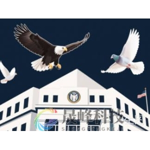 鸽派占上风！美联储“三把手”公开站台，今年降息有戏？-市场参考-晟峰科技数据