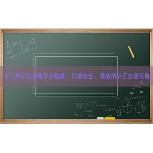 ST5外汇交易所平台搭建：打造安全、高效的外汇交易环境