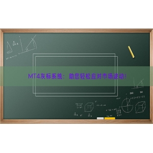 MT4灰标系统：助您轻松应对市场波动！