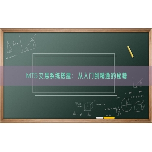 MT5交易系统搭建：从入门到精通的秘籍