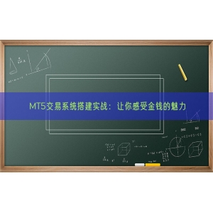 MT5交易系统搭建实战：让你感受金钱的魅力