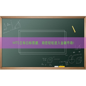 MT5主标白标搭建，助您轻松进入金融市场！