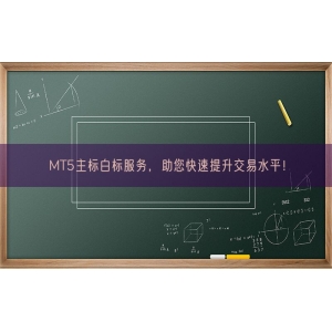 MT5主标白标服务，助您快速提升交易水平！